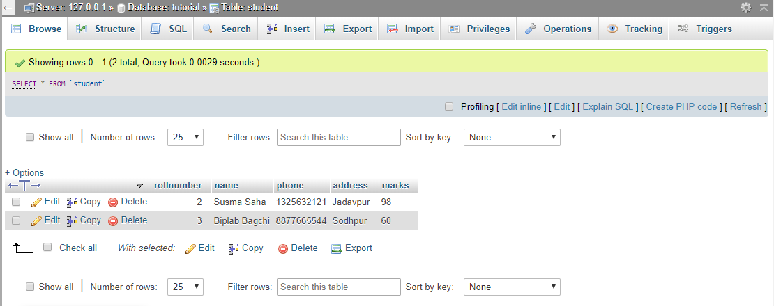 PHP PDO mysql insert example