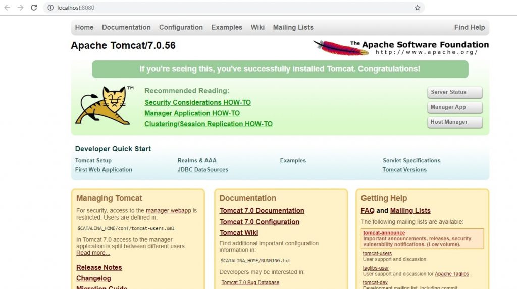 Tomcat Server Home