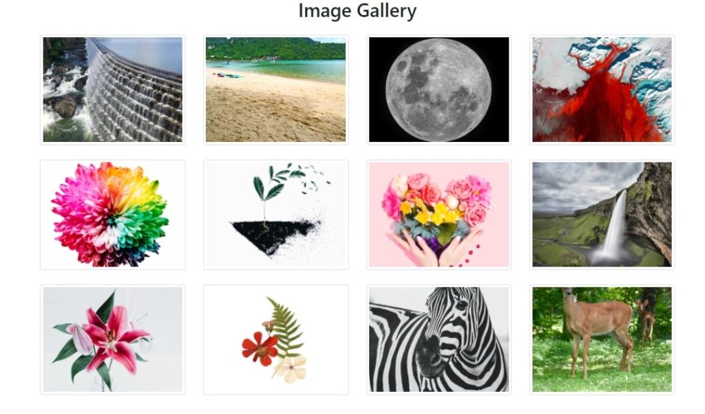 bootstrap fluid image gallery bootstrap fluid image gallery